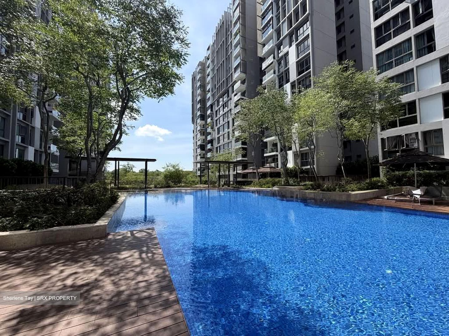 Parc Vera (D19), Condominium #549878811